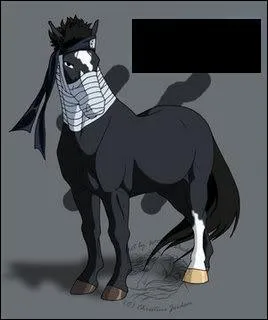 Il est le matre de Haku, il est dserteur du village de Kiri :