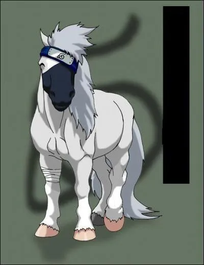 Il tait l'lve de Yondaime Hokage et le fils du Croc Blanc de Konoha :