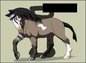 Il vient de Suna, il est l'autre frre de Temari :