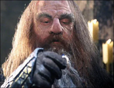 Durin est l'un des sept pères nains, qui fut roi. Mais dans la mythologie, qui est Durinn ?