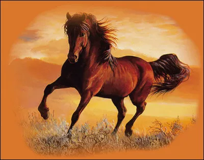 Pour le cheval, l'homme est une proie.