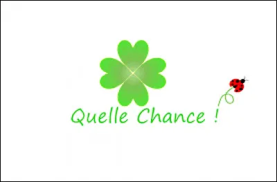 À qui doit-on la chanson "Quelle chance" en 2007 ?
