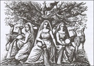 Les nornes et la source qu'elles gardent se trouvent en Asgard. Quel est leur autre rôle ?