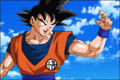 Qui est le personnage principal ?