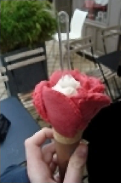 Quel est le facteur de confusion le plus probable auquel on est confronté dans cet énoncé ?
« Il y a une très forte corrélation entre la consommation de glaces des gens et leur résistance au rhume et aux grippes. Donc manger des glaces immunise contre ces maladies. »