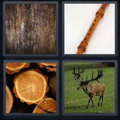 Quel mot trouve-t-on en regardant ces 4 images ?