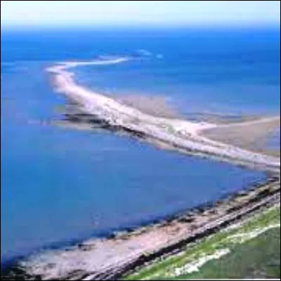 Quel animal menacé a pour capitale mondiale réputée le parc national Wapusk au Canada ?