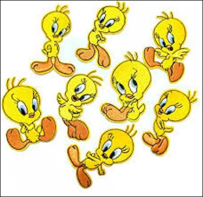 Comment s'appelle-t-il ?