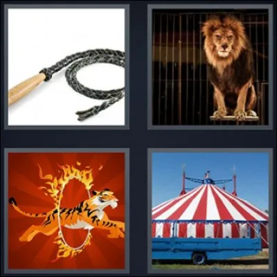 Par quel mot sont reliées les 4 images ?