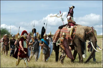 Puissante armée Punique, farouche adversaire de Rome, leur armée était composée de dizaines de milliers de mercenaires de toutes sortes. Qui sont-ils ?