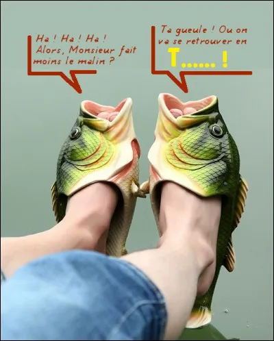 Dans le même continent que précédemment.