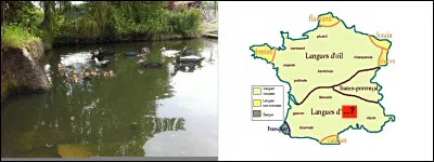 Pour commencer, trouver le moyen de ne pas vous y noyer et ne faites pas votre rabat-joie !