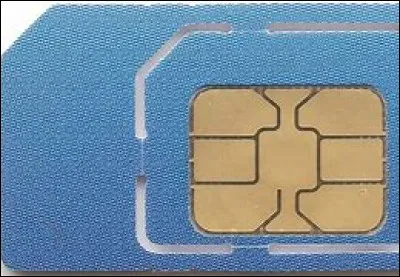 Quel est le nom de cette carte, une puce utilisée en téléphonie mobile pour stocker des informations spécifiques ?