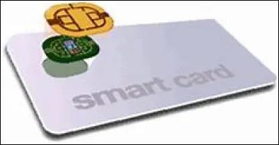 Quel est le nom de cette carte portant au moins un circuit intégré capable de contenir des informations diverses ?