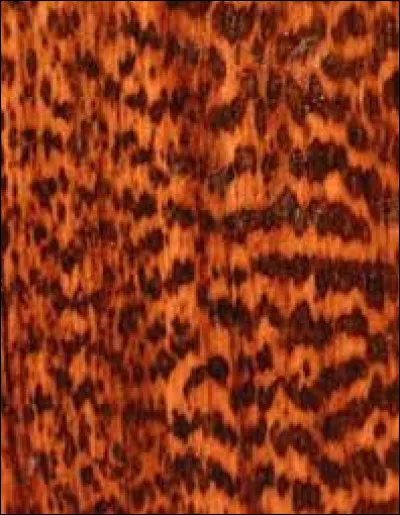 Quel est l'appellation de ce bois ?