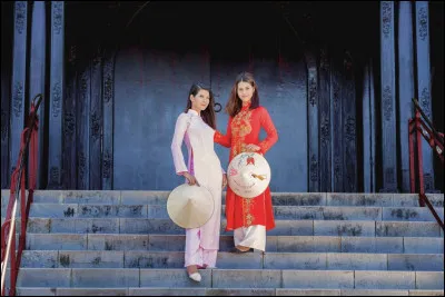 De quel pays est originaire le vêtement "áo dài" ?