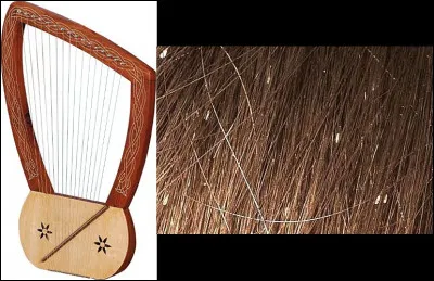 Si, si ! En deuxième image, c'est bien ce que vous croyez !