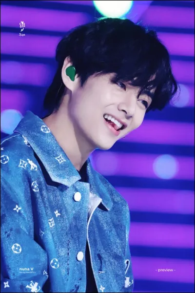 Quels sont les mets préférés de V ?