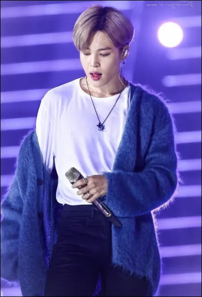 Quel est l'âge de Jimin ?