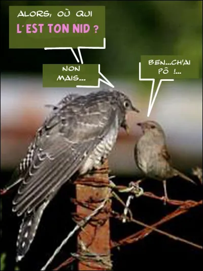 Coucou, les revoilou ! Tu parles d'une coïncidence, toi...