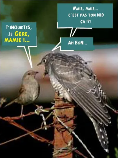 (Décidément, on les met à toutes les sauces, ces deux-là !) Ce n'était pas vraiment un "pays", mais une région... On y a fait une frontière, pour ne pas en venir Romains !