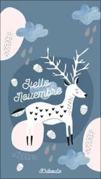 Dans quelle saison s'inscrit le mois de novembre ?