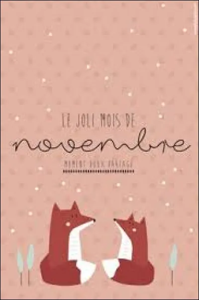 En 2020, en France, c'est le mois sans...