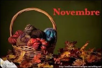 Combien y a-t-il de jours en novembre ?