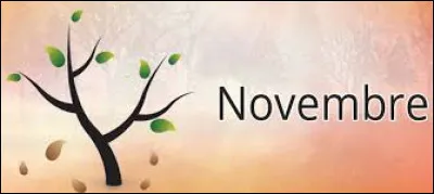 Le 25 novembre, c'est la...