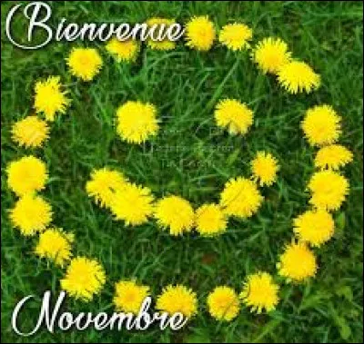 Lequel de ces chanteurs fête son 59e anniversaire le 6 novembre 2020 ?