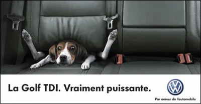 Si on ne les bloque pas, il y a des pubs sur le profil. En quelle année la toute première publicité de l'histoire est-elle parue ?