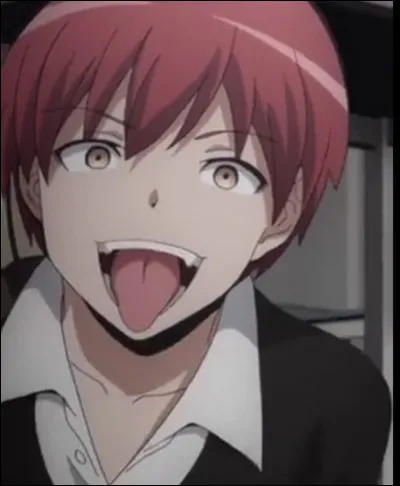 Qui voudrais-tu être ?