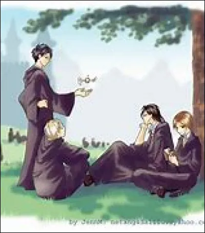 Qui n'est pas un Animagus ?