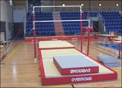 Quel est le nom de cet agrès ?