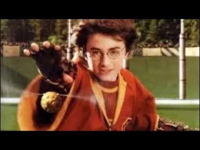 Comment Harry a-t-il attrapé son premier Vif d'or ?