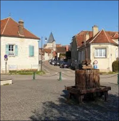 Commune de Bourgogne-Franche-Comté, dans l'arrondissement d'Avallon, Épineuil se situe dans le département ...