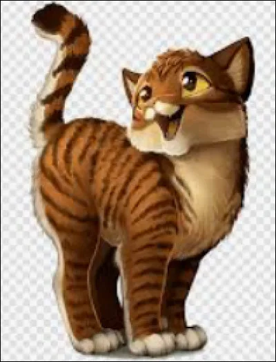 Si ta sur te donne un chaton, que fais-tu ?