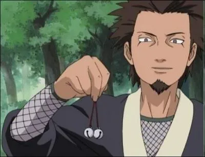 Il est le troisime Hokage du village de Konoha, il a eu pour matres les deux premiers Hokage :