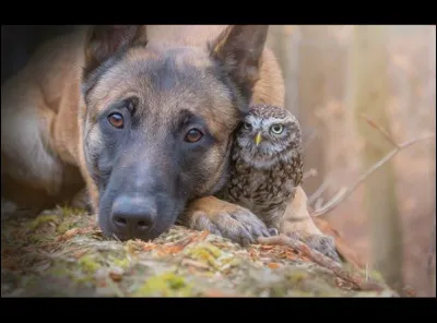 Il ne suffit que d'une ... d'amour pour faire un ... d'un homme !