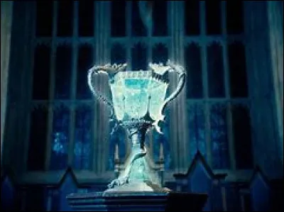 Avec qui Harry Potter est-il allé au bal des Trois Sorciers ?