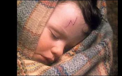Quand Harry Potter est-il né ?