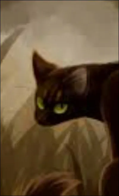 Étoile Noire te nomme lieutenant, tu :