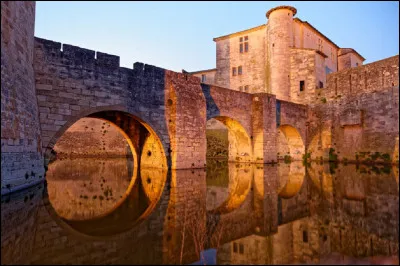 Dans quelle région ''Aigues-Mortes'' est-elle située ?