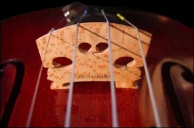 Comment appelle-t-on cette partie d'un violon ?