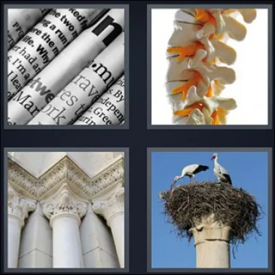 Quel est le mot exact ?