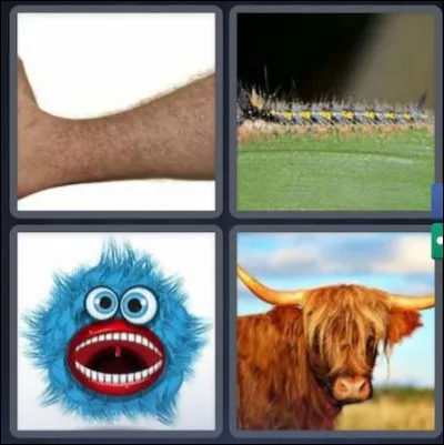 Quel est le mot juste ?