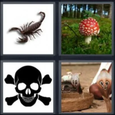 Le mot approprié est :