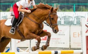 Quiz Galop 1