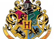 Test  quelle maison Harry Potter appartiens-tu ?
