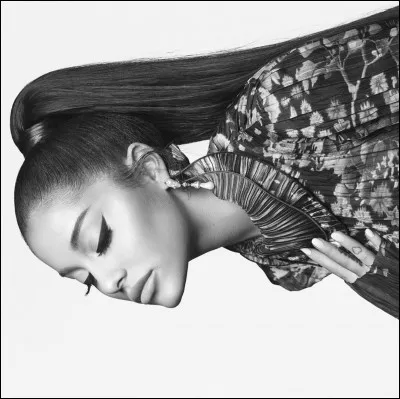 Combien de chiens a-t-elle ?